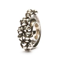 Charm Trollbeads in Argento TAGBE-10020